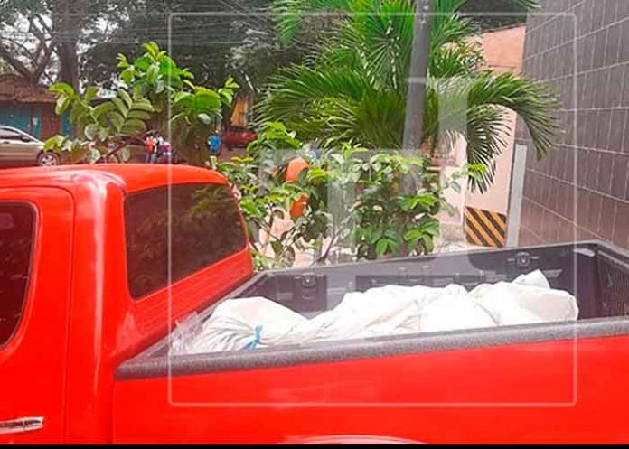 honduras, cadaver, mujer, estado de descomposicion,