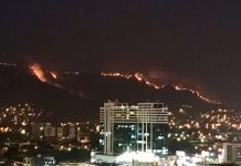 Incendio destruye más de 200 hectáreas de bosque en Tegucigalpa, Honduras