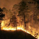 Honduras: Incendios destruyen unas 9.300 hectáreas de bosques en 2017