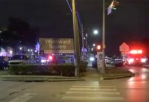 Tiroteo deja dos muertos, incluyendo una niña, en Houston