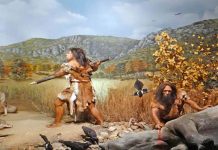 Humanos pudieron llegar a Norteamérica 115.000 años antes de lo que se creía