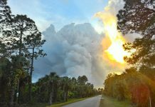 Incendio en suroeste de Florida arrasa 5.000 acres