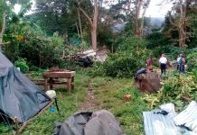 Inundaciones, arboles caídos y otras afectaciones en la Isla de Ometepe