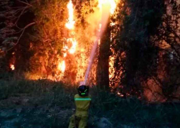 Incendio honduras, incendios forestales, manzanas, bosque, atlantida,
