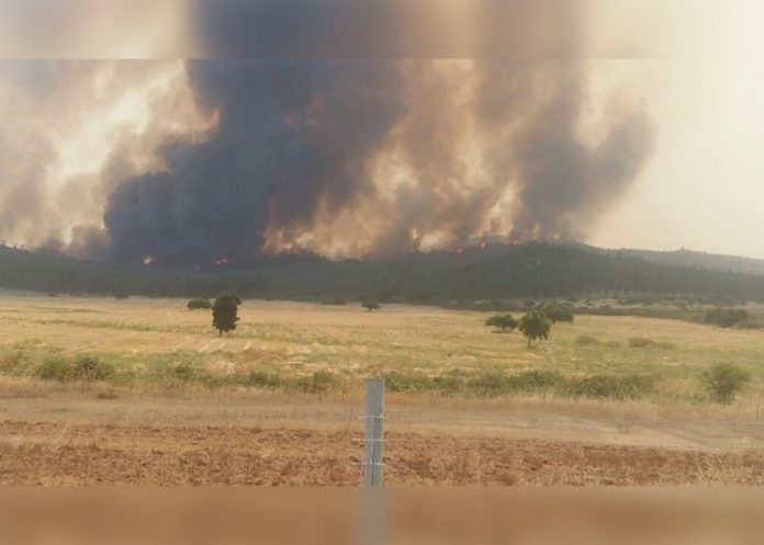 Incendio10