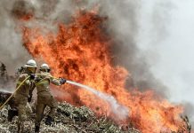 Al menos 500 casas y 40 empresas fueron afectadas por el incendio de Portugal