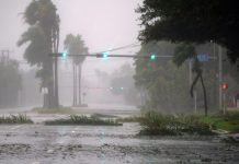 Mujer muere al caer árbol por tormenta Ofelia en Irlanda