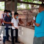 Nicaragua, juigalpa, estudiantes, técnicas especializadas en reproducción animal