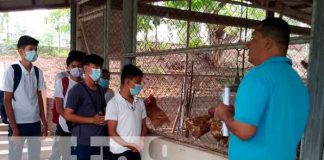Nicaragua, juigalpa, estudiantes, técnicas especializadas en reproducción animal