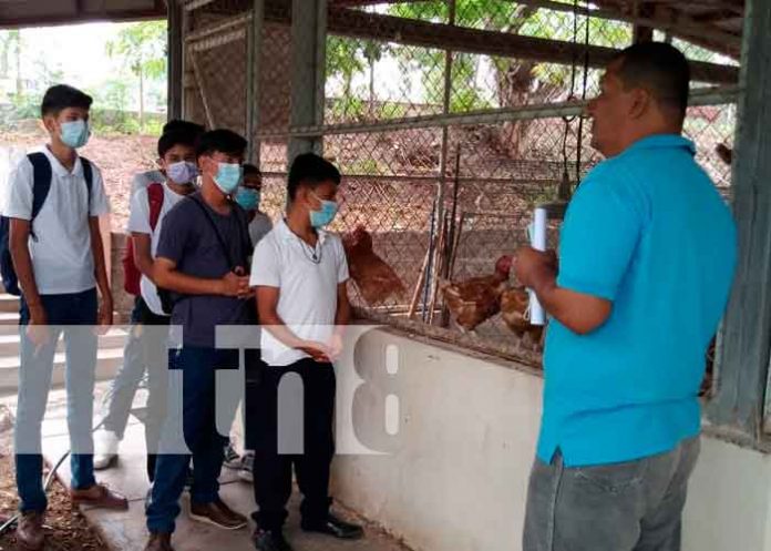 Nicaragua, juigalpa, estudiantes, técnicas especializadas en reproducción animal