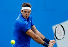 Juan Martín Del Potro será baja por lesión en Queens
