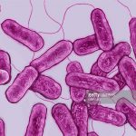 Aumentan a 4 los fallecidos por brote de legionela en Lisboa