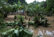 Onda tropical 37 entraría este jueves al Caribe de Nicaragua