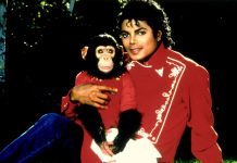 El arte del chimpancé de Michael Jackson se muestra en Miami