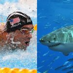 Michael Phelps vive el «gran desafío» de nadar contra un tiburón blanco