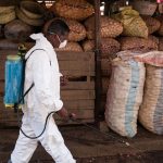 Ascienden a 74 los muertos por plaga de peste bubónica en Madagascar