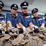 Malasia incauta envíos de marfil y escamas de pangolín