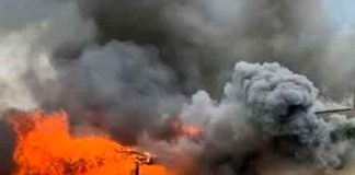 estados unidos, mujer, llamas, casa, jardín