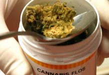 Congreso del Estado de Florida sesiona para implementar marihuana