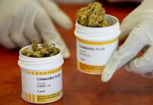 México aprueba uso medicinal de la marihuana