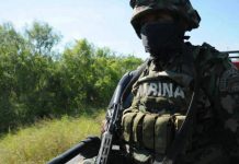 Abaten a dos capos del narcotráfico en Noreste de México