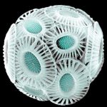 Aguas de Estambul se tiñen de un intenso turquesa