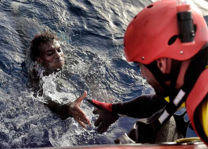 Migrantes4