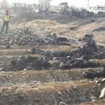 Se elevan a casi 180 los muertos en explosión de camión cisterna en Pakistán