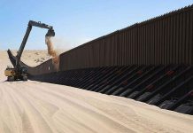 Grupo medioambiental demanda a Trump para exigir detalles del muro