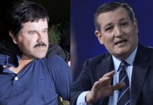 Ted Cruz propone financiar muro con fondos incautados a «El Chapo»