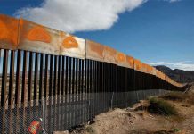 Trump valora poner paneles solares en muro con México