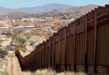 Científicos advierten del impacto medioambiental del muro de Trump