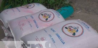 Nicaragua, Nueva Segovia, productores, bonos tecnológicos