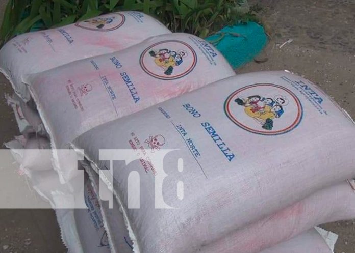 Nicaragua, Nueva Segovia, productores, bonos tecnológicos