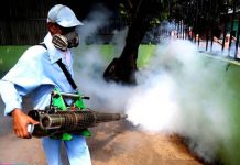 Suman 11 muertes por leptospirosis en Nicaragua