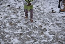 Investigan suicidio de niño refugiado en Austria