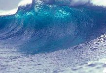 Alertan de tsunami con potencial devastador para ciudades costeras mundo, cientificos, alerta, tsunami, ciudades costeras,