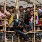 Críticas por brutales peleas hasta la muerte entre perros y jabalíes en Indonesia