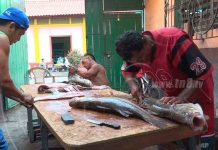 Corinto se prepara para festejar la XXI feria gastronómica del mar