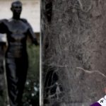 El pedido del papa Francisco en la misa de Difuntos en Roma