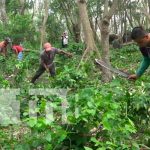 Café Ometepe, la nueva denominación de origen para Nicaragua nicaragua, ometepe, cosecha cafetalera 2021-2022, productores,