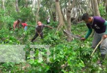 Café Ometepe, la nueva denominación de origen para Nicaragua nicaragua, ometepe, cosecha cafetalera 2021-2022, productores,