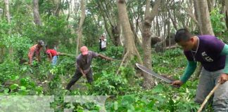 nicaragua, ometepe, cosecha cafetalera 2021-2022, productores,