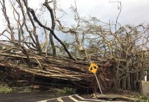 Trump aprueba declaración de «desastre» para Puerto Rico