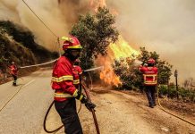 Incendio de Portugal no da tregua y avanza sin control