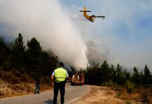 Controlan uno de los dos grandes incendios que afectan Portugal