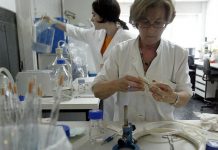 Aumentan a 242 los afectados por el brote de hepatitis A en Portugal