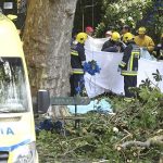 Número de muertos por caída de árbol en Madeira sube a 13