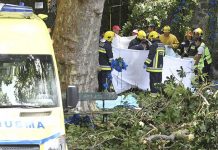 Número de muertos por caída de árbol en Madeira sube a 13