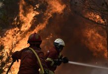 Bomberos combaten incendio forestal en el centro de Portugal